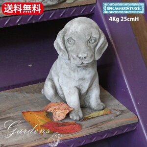 yԌP5{MAX10OFFN[|zHampshire Garden Craft K[fjO I[ig SMALL SITTING PUPPY q   Ck I[ig CMX nvV[ CObV K[f Iu