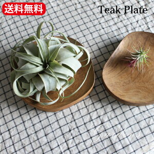 Ebhv[g Teak Plate `[Nv[g@stem @L[g[@L[gC CeA fBXv[ Ԋ O[ Ebh ϗtA@ԑ i` teakwood `[NEbh ChAO[