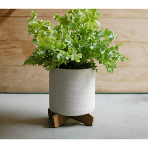 yGg[ŁIvXP5{zStone Ware Ceramic |bg @Aؔ@w19×d19×h21@ϗtA@@A@T{e ChAO[ stem Jo[ |bgyz