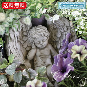 yԌP5{MAX10OFFN[|zH̒̓VgPr CHERUB IN WINGS STD27 Vg K[fjO I[ig K[SC _ CMX u IuWF b Hampshire Garden Craft CObV