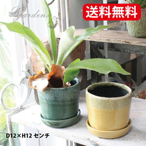 yGg[ŁIvXP5{zbVO[ S AbVOC K[f G Vr[ VbN AeB[N@Aؔ@ AeB[NG i`G D12×H12@D3 y