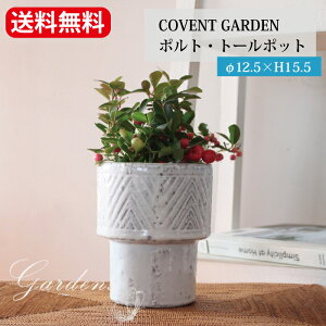 y}\Ԍ聚Gg[P10{+MAX10OFFN[|z|gEg[|bg RxgK[f  Rxg K[f G Vr[ VbN AeB[N Aؔ  AeB