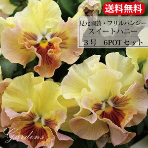 yz | IWipW[ t u XC[gnj[ v pW[ pW[ c 6POTZbg 3 3 2019N Vi t^pW[ c ԕc Zbg  t 