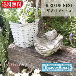 y}\ԁGg[P10{MAX10N[|zyz ̏̒ BIRD ON NEST BBD18 K[fjO I[ig  Ƃ g CMX nvV[ Hampshire Garden Craft COb