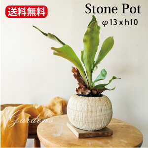 yGg[ŁIvXP5{zStone Pot |bg @Aؔ@13 x h10@ϗtA@@A@T{e ChAO[ stem Jo[ |bgyz