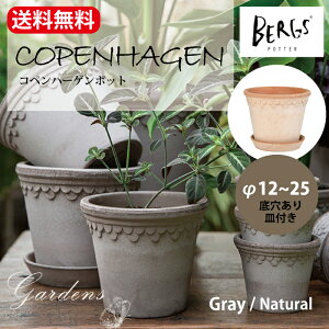 o[OX|b^[@Ryn[Q|bg@12@16@21@25@O[@i`@Mt Bergs Potter@o[OX |b^[@Aؔ@  A ͔| n@v[g Mtg@ 