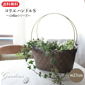 Collier コリエ　ハンドル　S ブリキポット DELLKI 　ガーデン 雑貨 シャビー シック アンティーク調　ブリキ　ブリキポット　植木鉢　おしゃれ 高級感 ナチュラル 【送料無料】 プランター　オーバル　フラワーポット　ヴィンテージ 　鉢カバー　ヨーロピアン