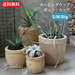 SPICE OF LIFE u J[rOEbh |bg / Jbv@S~rbO v@Aؔ@  A ͔| ؐ v[g Mtg K[fjO yz