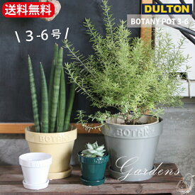 ＼4/20限定！抽選で100％ポイントバック／「 ダルトン　BOTANY　POT　3-6 」 3号鉢　5号鉢　6号鉢　目安　BOTANY POT 3　5　6 BEIGE テラコッタ 陶器 底穴あり ポット　 鉢カバー 多肉植物 ベージュ　グリーン　グレイ　ホワイト　【送料無料】