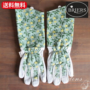 u Briers Garden Gauntlet O[u v M O BriersiuA[Yj@Sicilian Lemon@n[h[Np@ƃO[uo  U d CMX@uA[Y O[ DIY |@[Y K[f 