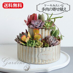 y}\Ԍ聚Gg[P10{+MAX10OFFN[|z̓ @̓ Mtg A uP[L݂ȑ̊񂹐Av A 񂹐A 2i@A c  Zbg 