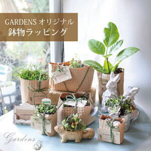 ySS聚Gg[őSi{P5{MAX15%N[|zNEWMtgbsO