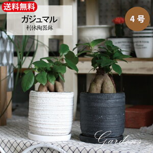 yGg[ŁIvXP5{zKW} x픫 KW} 4 4 킢  CeA c O[ v[g  Sҁ@ϗtA@ChAO[ CeA