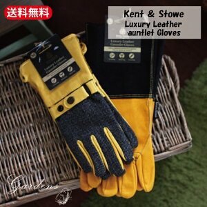 Kent  Stowe {vO[u@KEgbg@@֗ Lv |@K[fjO@cC[h@]