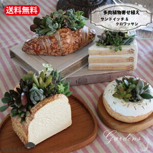 yGg[ŁIvXP5{zA@̊񂹐A fL ubh@ThCb`@NbT@v[g 蕨 JƏj p 