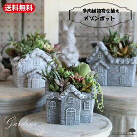【マラソン期間★エントリーでP10倍＆MAX10％クーポン】多肉植物 寄せ植え 多肉の寄せ植え メゾンポット 多肉植物の寄せ植え 鉢植え 家 多肉植物 多肉 セット おうち時間 インドアグリーン 観葉植物 多肉寄せ植え手作り 多肉植物 鉢 メゾン ポット