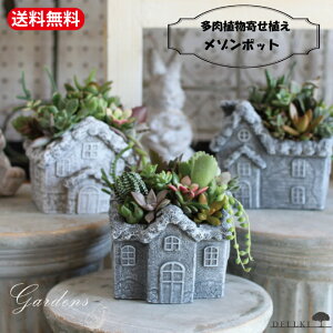 y}\ԁGg[P10{MAX10N[|zA 񂹐A ̊񂹐A ]|bg Å񂹐A A  A  Zbg  ChAO[ 