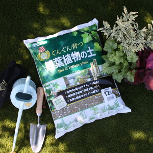 u 񂮂 ϗtA̓yv12L/܁@ 񂹐A ƒ؉ O[Y |{y A̓y yĐȓy AR [ICg K[fjO ϗtA y soil