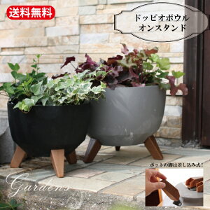 �h�b�s�I�{�E���I���X�^���h �O���C24 29 �u���b�N24 29 �A�b�V���O���C �A�ؔ� �� �C���e���A �K�[�f�j���O ���| �ϗt�A�� ���m�g�[�� �V���v�� ������� �h�� �ʋC�� �v���X�`�b�N ��������