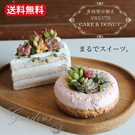 多肉植物 寄せ植え 鉢植え 多肉の寄せ植えショートケーキ ドーナツ デルキ プレゼント 苗 多肉 セット おうち時間 インドアグリーン 観葉植物 誕生日 記念日 スウィーツ 観葉植物 おしゃれ かわいい カラフル