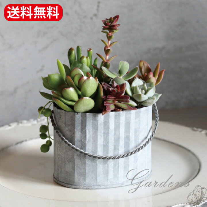 楽天市場】○4/4〜10☆エントリーで＋P10倍＆最大10％OFFクーポン 