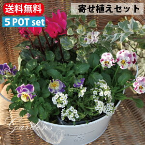 񂹐A 5|bgZbg pW[ c ut pW[ or@rI 2P { AbT { K[fVN { wf v 5POTZbg t 3`3.5 t tW ԕc Zbg  