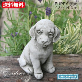 Hampshire Garden Craft ガーデニング オーナメント PUPPY 子犬 犬 いぬ イヌ SM31 オーナメント イギリス ハンプシャー イングリッシュ ガーデン オブジェ 置物 ドラゴンストーン 定番 デコレーション ワンダーデコール 【送料無料】