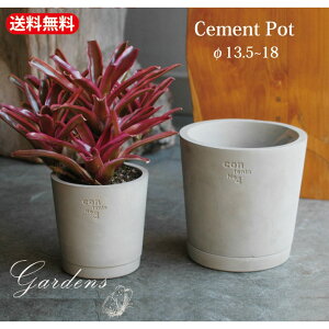 y}\Ԍ聚Gg[P10{+MAX10OFFN[|zAؔ  Zg Cement |bg @F3800 F3801 3 4 ϗtA T{e ChAO[ stem Jo[ |bgJo[y