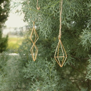 ySS聚Gg[őSi{P5{MAX15%N[|zu cCoXONMEt[oXONM v I[ig Rxg NX}X COVENT Christmas  i` ~j   