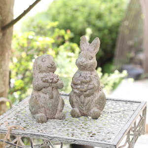 ySS聚Gg[őSi{P5{MAX15%N[|zRxg COVENT@us bNt[rbg / t[u[Prbg v@ETM@@rbg rabit@@Aj}@aށ@