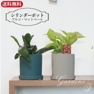 「 プルコ・シリンダーポット 」 「 マットペール・シリンダーポット 」 コベントガーデン 鉢 コベント ガーデン 雑貨 シャビー シック モロッカンスタイル モロッコ Moroccan Style 植木鉢 おし