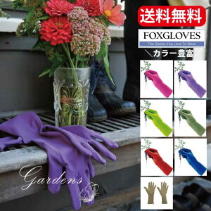 yGg[ŁIvXP5{zutHbNXO[uvFOXGLOVE p[v sN X CgO[ bh Tn K[f  CObVK[f ̓@v[g