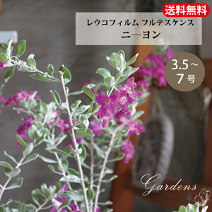 w j[ x@ERtB teXPX@3@3.5@4@7@3.5@4@7@Ԗ ؁@؁@Ύ Ϗ@ϊ@c@yz