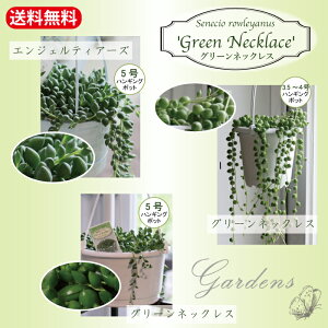 O[lbNX  nMO  3.5~4 3.5~4 5|bg@  NX}X ԕc K[fjO ϗtA ChAO[yz񂹐A@LN ZlLI ΂鐫A