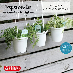 yԌGg[P10{MAX10OFFN[|zyy~A@ݔ@nMOoXPbg@ϗtA@3.5@3.5@A@ChAO[@nMO c @ϗtA@񂹐A@