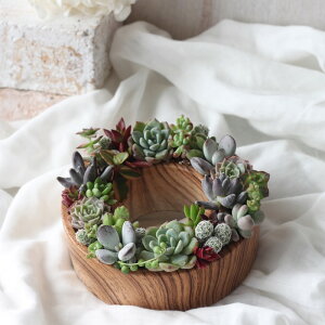 ̊񂹐A@Mtg A u ̊񂹐A AkX O / n[g@ؒ[X v@Zg ی^ / n[g^@ A 񂹐A A c  Zbg  Ch