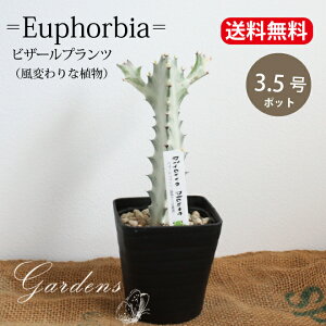 ySS聚Gg[őSi{P5{MAX15%N[|z[tHrA@zCgS[Xg@rU[vc@3.5 3.5@A@ChAO[ c ϗtA zj JXj Vz