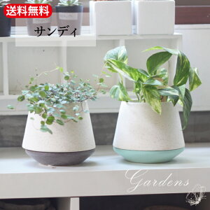 yGg[ŁIvXP5{zu TfB|bg@`R[ / ANA vVv Aؔ |bg greenpot O[|bg G Vr[ VbN Aؔ@ i`G y