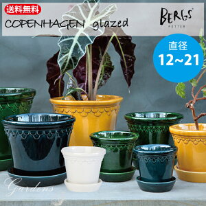 o[OX|b^[ Ryn[Q|bg Mt 12 /16 / 21 Bergs Potter o[OX|b^[ Aؔ   A ͔| n v[g Mtg K[fjO ChAO[ 蕨 Ce