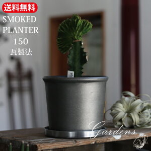 SMOKED PLANTER 150 @eRb^@A~jE@K[f G VbN AeB[N@Aؔ@ JWA yz v^[@|bg@t[|bg@Be[W 