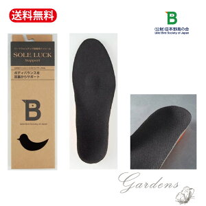 【マラソン期間限定エントリーでさらにP5倍】日本野鳥の会 ソールラックサポート インソール レインブーツ 長靴 抗菌効果 バードウォッチングブーツ 野鳥の会 ジュニア 大人 通勤通学 アウ