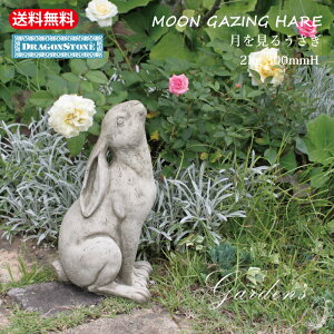 K[SC MOON GAZING HARE   ETM rbg K[fjO I[ig CMX u IuWF b Hampshire Garden Craft hSXg[V[Y CObVK[f  