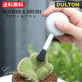 「ダルトン BOTANY ブロワー&ブラシ 」 ブラシ　お掃除　ガーデニング　ツール　クリーナー　多肉　サボテン　掃除　DOULTON 男前　カッコイイ【送料無料】
