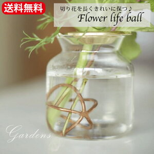 u؂Ԃ𒷂ꂢɕۂƂł ̃t[Ct{[ @i2TCYjv  t[AWg @ԁ@؂ԁ@  uX shesay u̔y