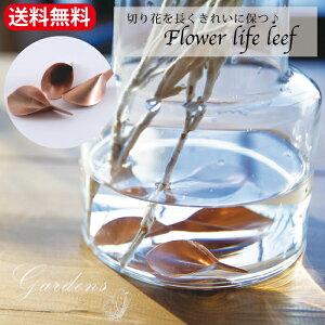 u؂Ԃ𒷂ꂢɕۂƂł ̃t[Ct [t 3v Rۍp  @ԁ@؂ԁ@ uX shesay u̔yz