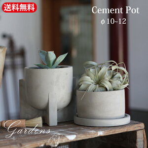 yGg[ŁIvXP5{zCement |bg @F0802@F7803 Aؔ@10`12@ϗtA@@A@T{e ChAO[ stem Jo[ |bgyz