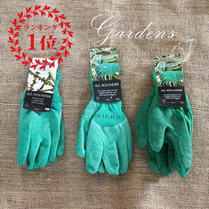 yGg[ŁIvXP5{zop O[u u Briers I[E_[ op  v o  U d uA[Y O[ [Y  CObVK[f ̓@v[g