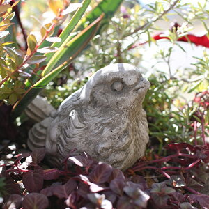yԌP5{MAX10OFFN[|zK[fI[ig@Ƃ@@BIRD 1 / BIRD 2 K[fjO I[ig K[SC _ CMX u IuWF Hampshire Garden Craft CObV