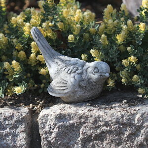 yԌP5{MAX10OFFN[|zK[fI[ig@Ƃ@@BIRD 1 / BIRD 2 K[fjO I[ig K[SC _ CMX u IuWF Hampshire Garden Craft CObV