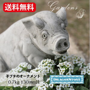 y}\ԁGg[P10{MAX10N[|zhSXg[ Hampshire Garden Craft Ԃ u^  PIG SM19 K[fjO I[ig CMX nvV[ CObV K[f 